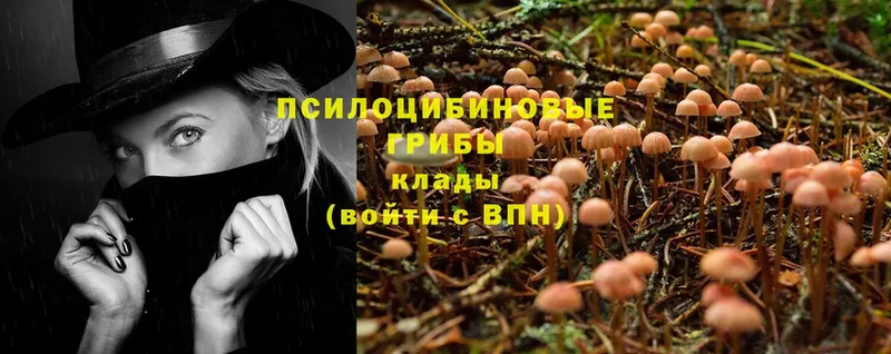 Как найти закладки Искитим Гашиш  Канабис  Мефедрон 