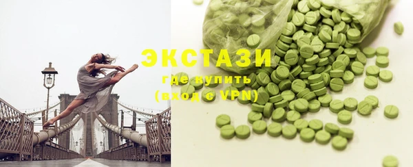 индика Новодвинск