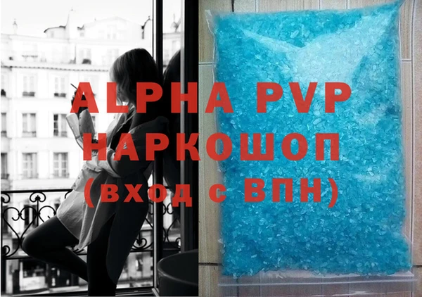 индика Новодвинск