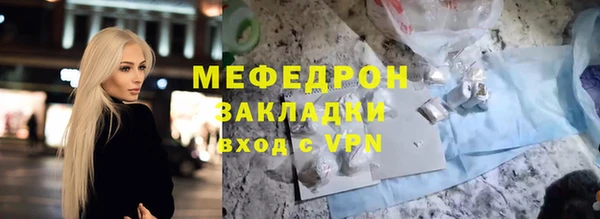 индика Новодвинск