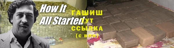 индика Новодвинск