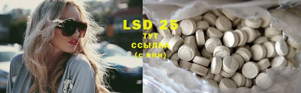индика Новодвинск