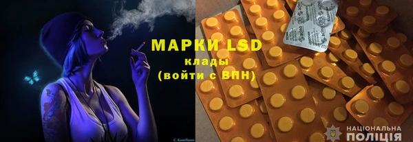 индика Новодвинск