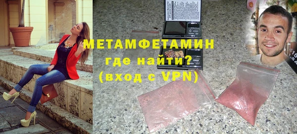 индика Новодвинск