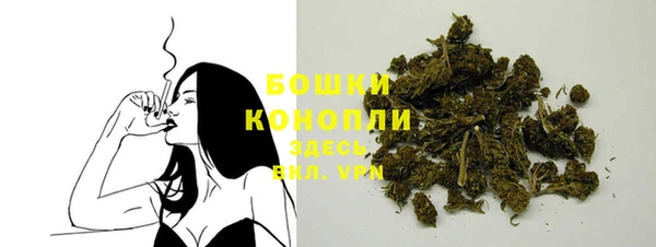 индика Новодвинск