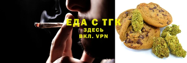индика Новодвинск