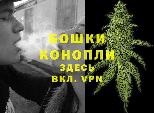 эйфоретик Новокубанск