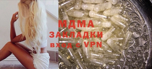 индика Новодвинск