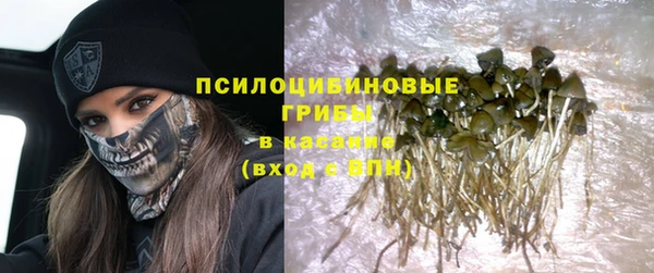 эйфоретик Новокубанск
