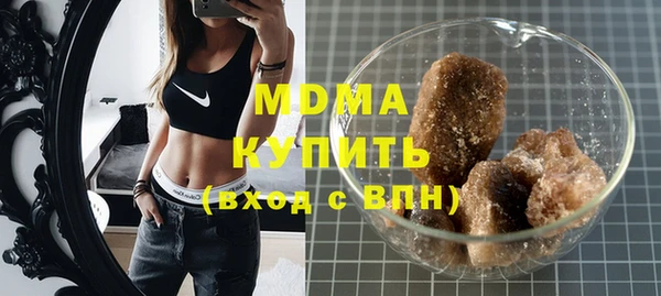 индика Новодвинск