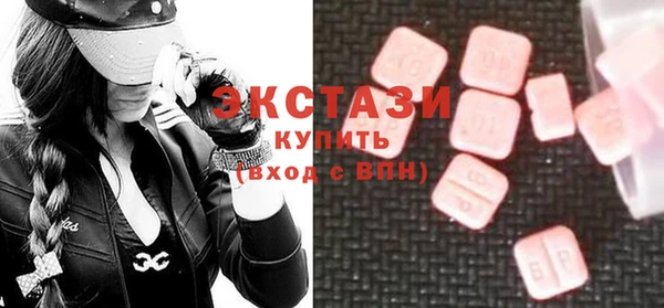индика Новодвинск
