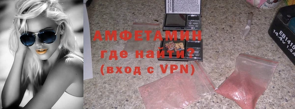 индика Новодвинск