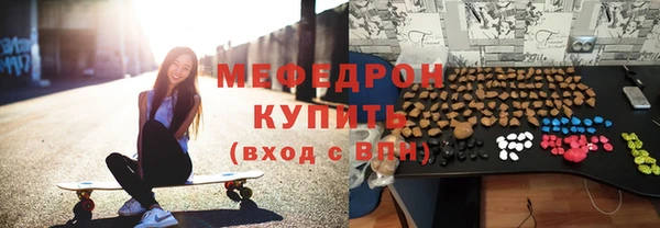 индика Новодвинск
