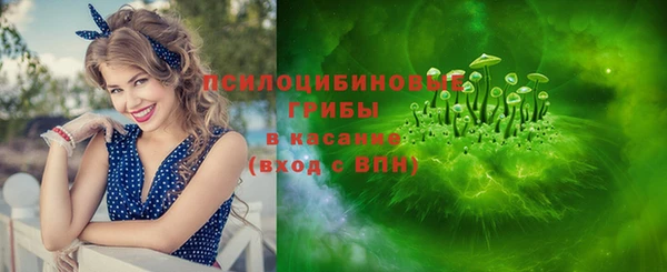 эйфоретик Новокубанск