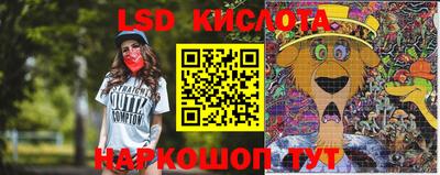 крисы Заводоуковск