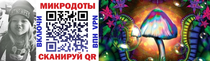 Галлюциногенные грибы прущие грибы  купить закладку  Искитим 