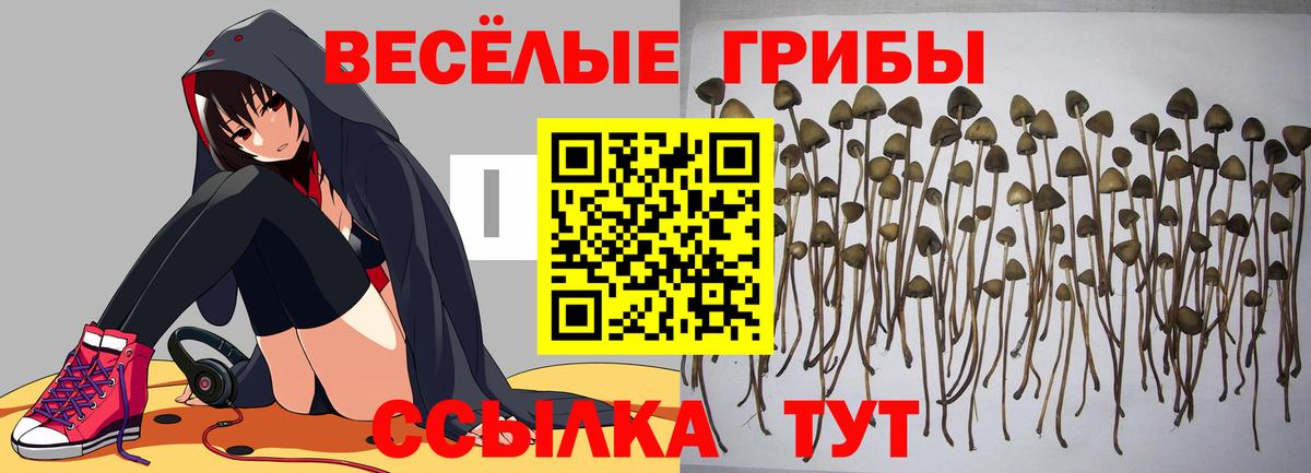 Псилоцибиновые грибы мухоморы Искитим