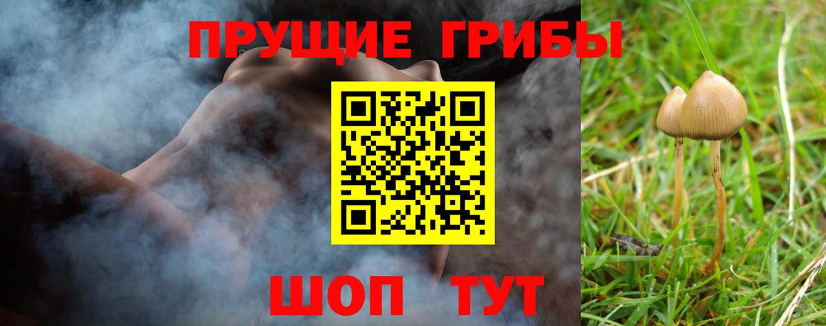 Искитим  Псилоцибиновые грибы ЛСД  Вход с VPN 
